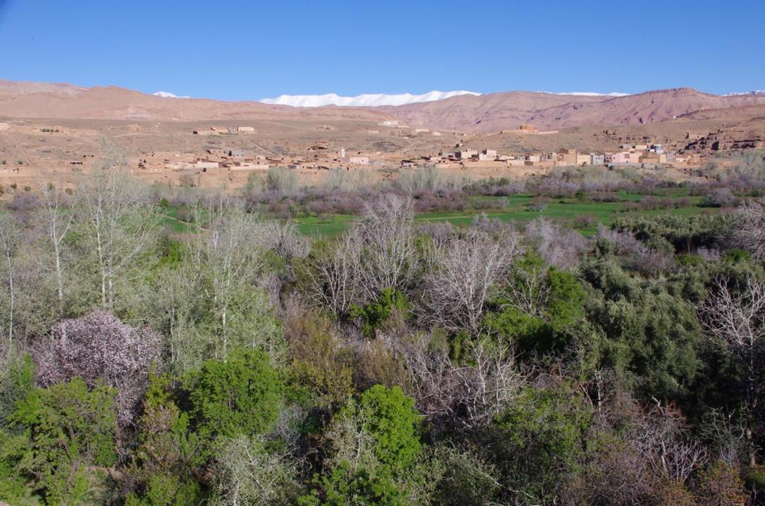 Les Jardins Du M'Goun Kelaat-M'Gouna Exterior foto