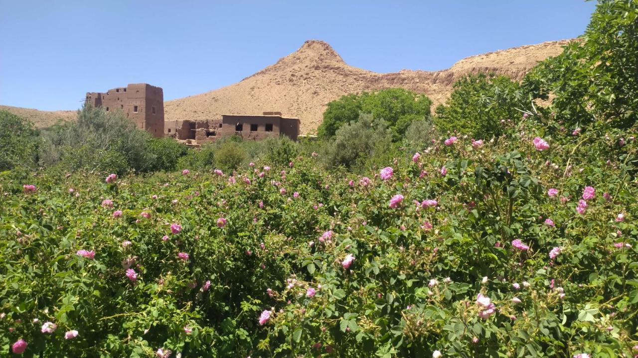 Les Jardins Du M'Goun Kelaat-M'Gouna Exterior foto
