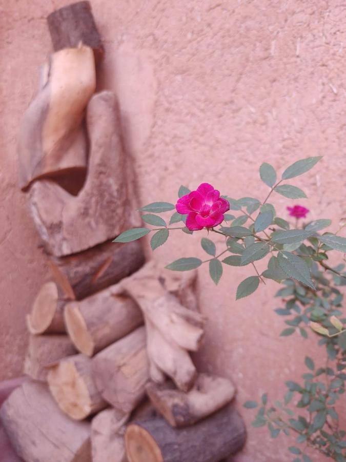 Les Jardins Du M'Goun Kelaat-M'Gouna Exterior foto